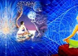 Vous Opérez » Entre » Deux Mondes